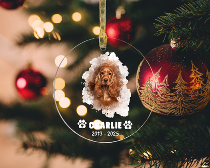 Personalized Pet Memorial Ornament - Custom Dog Loss Gift, Pet Remembrance Christmas Ornament, Rainbow Bridge Keepsake, Pet Sympathy Gift